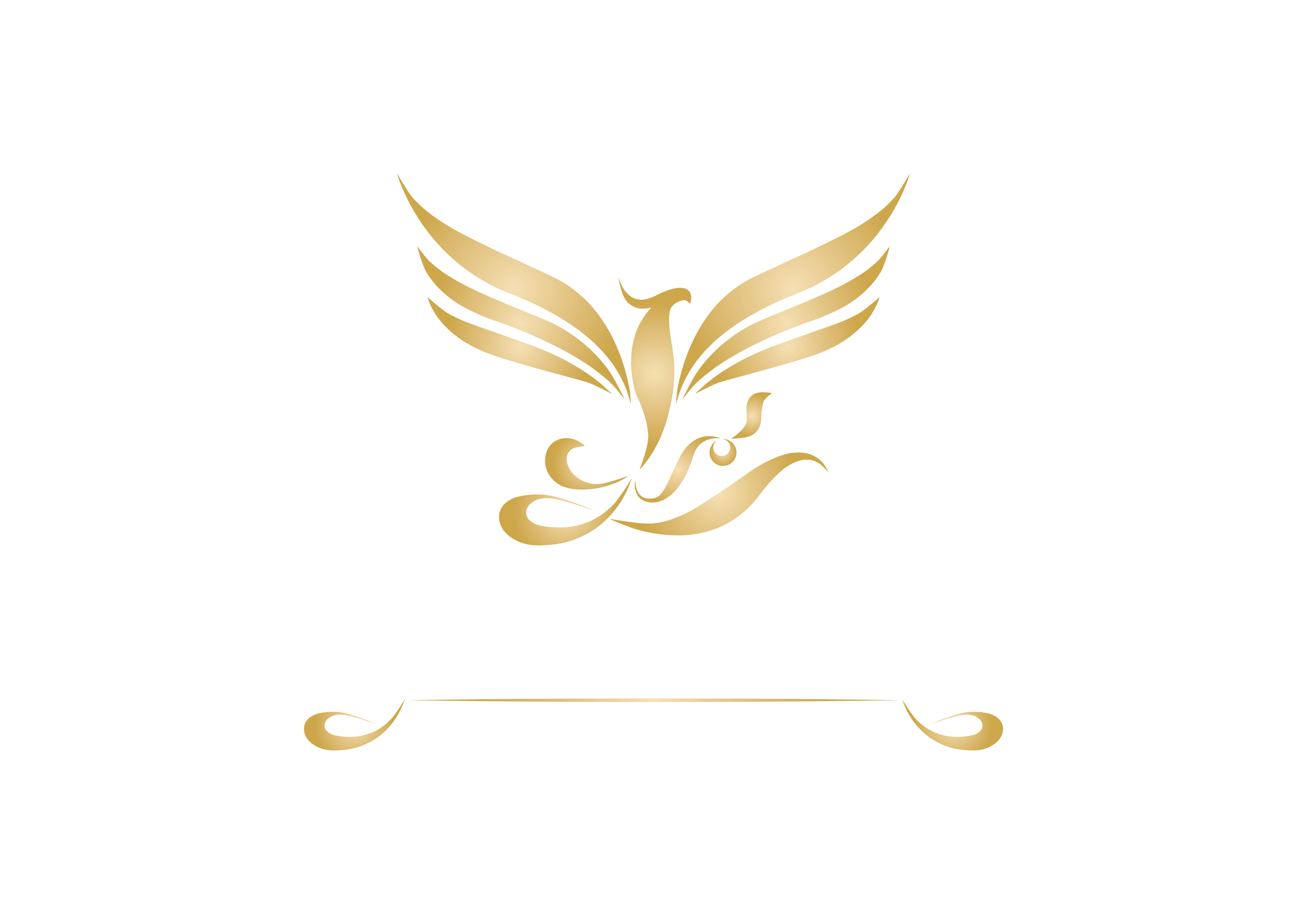Kgoputso Attorneys — Perseverance at law